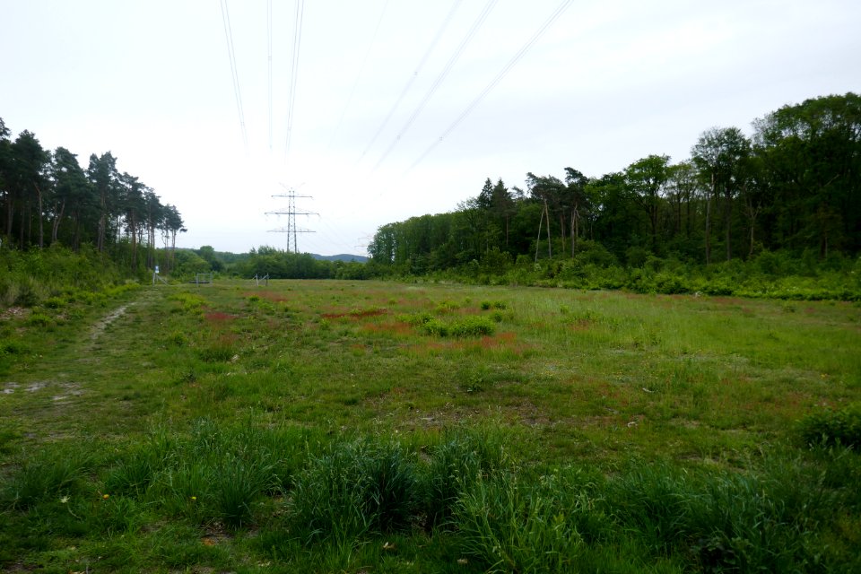 Bielefeld - NSG Südkamp - 4