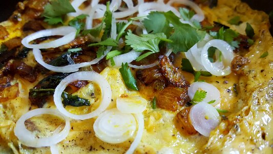 Onion slices coriander leafs egg omelet