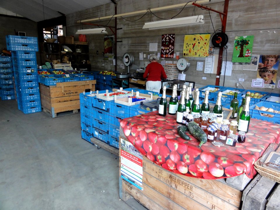 Beuningen fruit oogsttijd 10