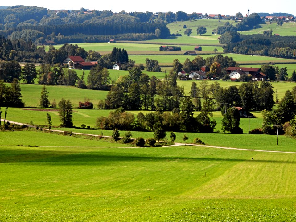 Binkenhofen (Eggenthal)
