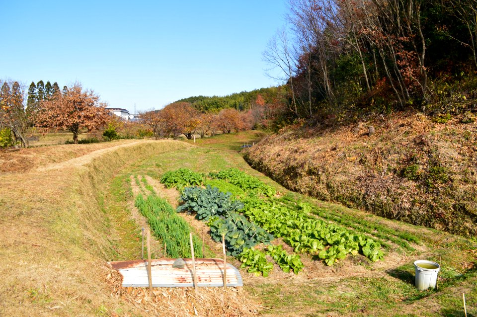 Bessho Otsuka Kofun, hori