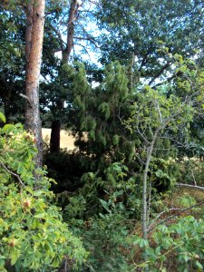 Biskoupský kopec 06