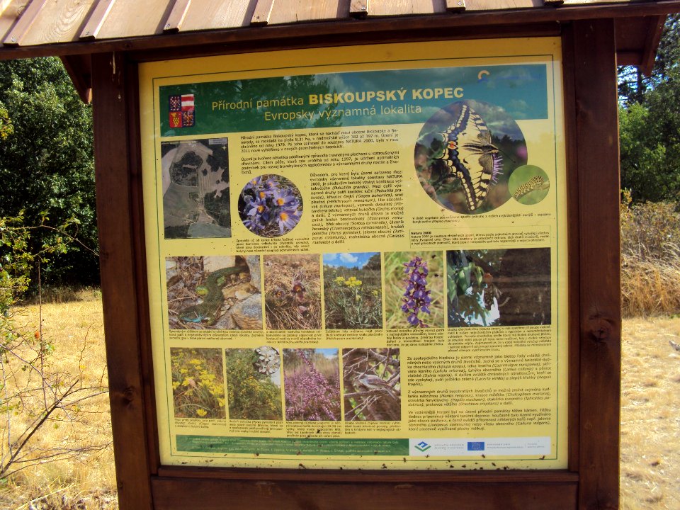 Biskoupský kopec 03