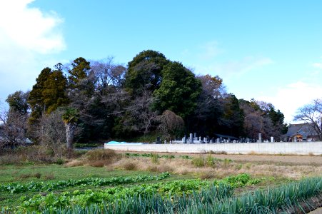 Bessho-chausuyama-kofun zenkei