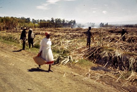 Bezoek Koningin Juliana , Pr. Bernhard , Pr. Beatrix Pr. Claus aan Ethiopie bev, Bestanddeelnr 254-8376