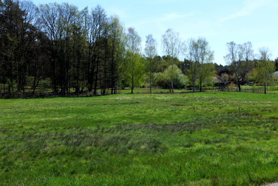 Baruther Urstromtal und Luckenwalder Heide 2021-05-09 45