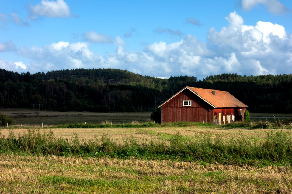 Barn in Färlev 1