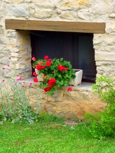 Beluntza (Urkabustaiz) 4