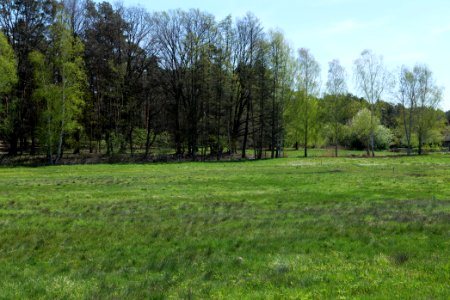 Baruther Urstromtal und Luckenwalder Heide 2021-05-09 43