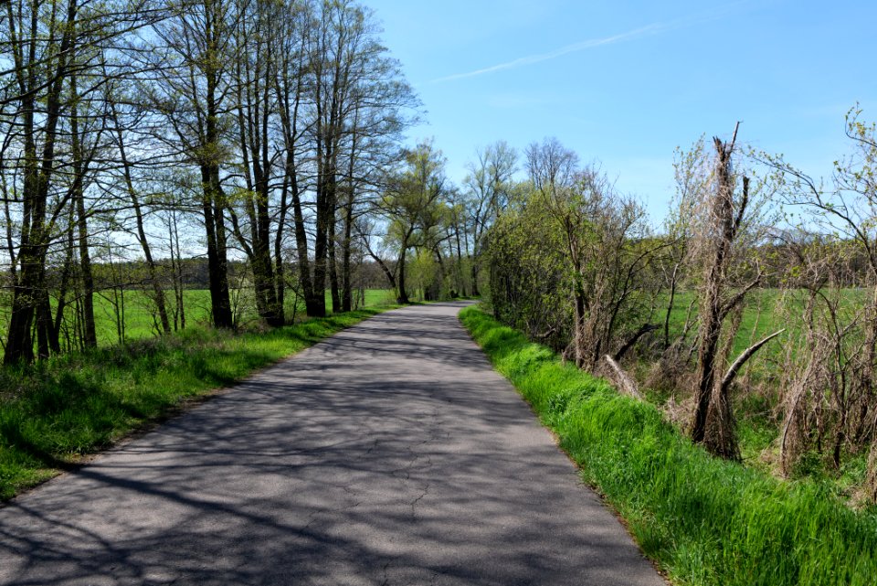 Baruther Urstromtal und Luckenwalder Heide 2021-05-09 49