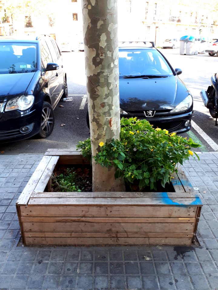 Barcelona tree seat 2017 B