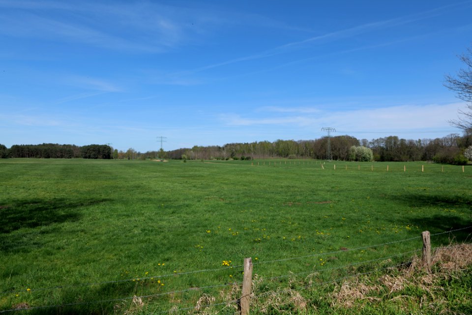 Baruther Urstromtal und Luckenwalder Heide 2021-05-09 51