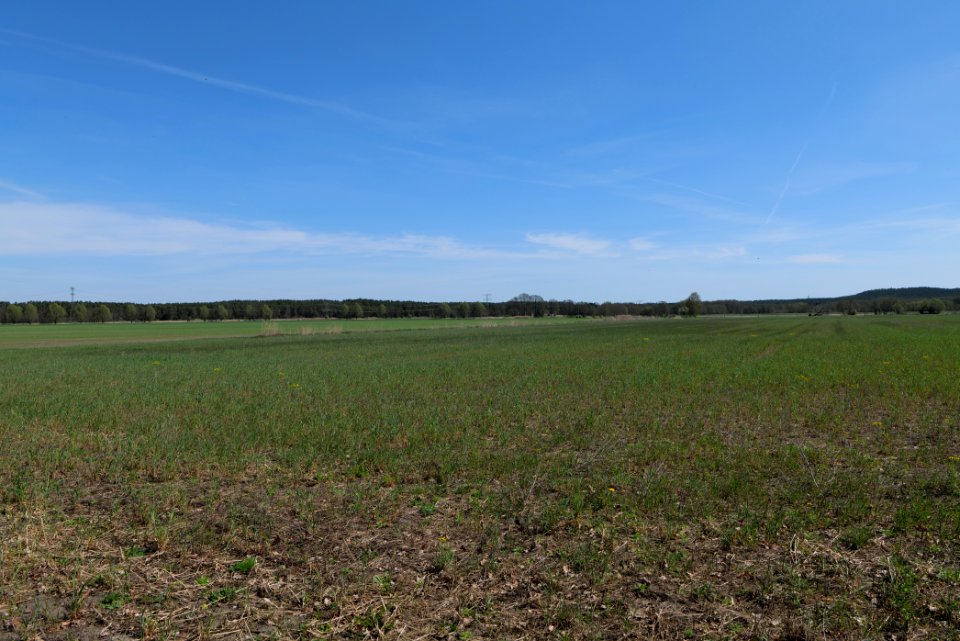 Baruther Urstromtal und Luckenwalder Heide 2021-05-09 67