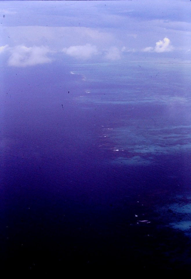 Barrier Reef Andros Island A 1999