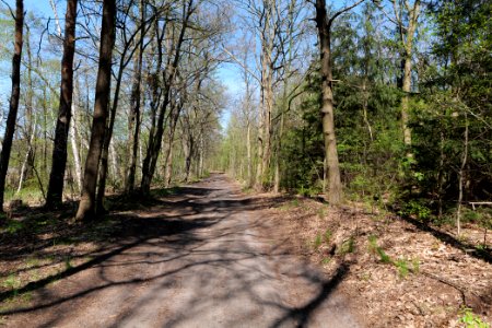 Baruther Urstromtal und Luckenwalder Heide 2021-05-09 95