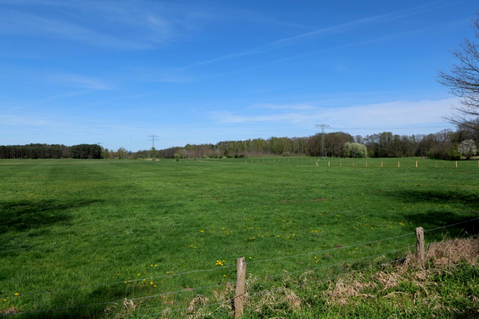 Baruther Urstromtal und Luckenwalder Heide 2021-05-09 50