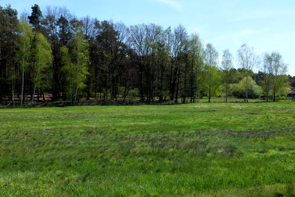 Baruther Urstromtal und Luckenwalder Heide 2021-05-09 44