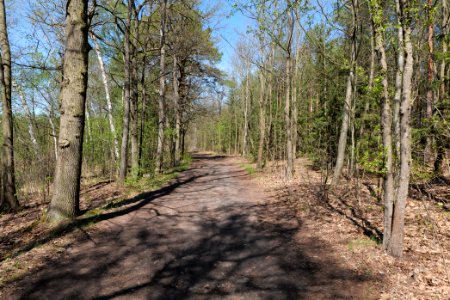 Baruther Urstromtal und Luckenwalder Heide 2021-05-09 97
