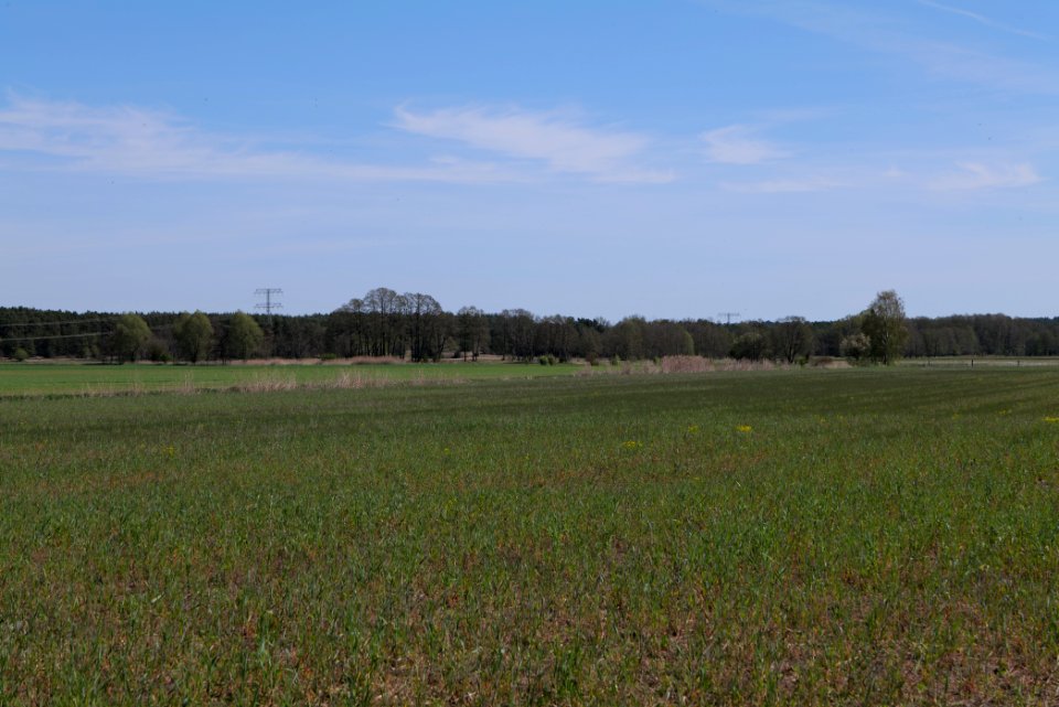 Baruther Urstromtal und Luckenwalder Heide 2021-05-09 70