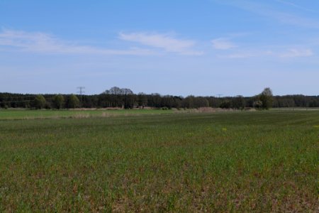 Baruther Urstromtal und Luckenwalder Heide 2021-05-09 70