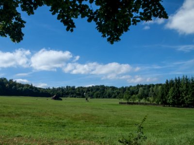 Altenbrak Feldflur (15)