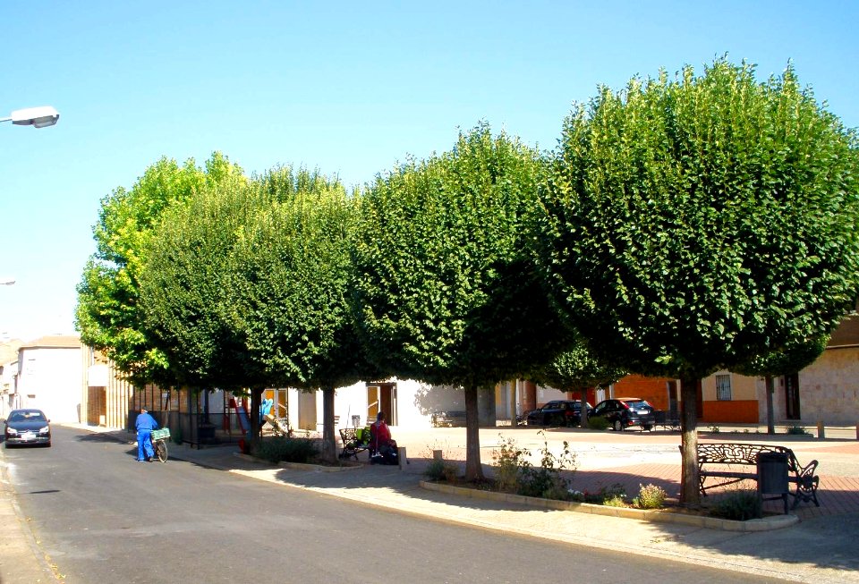 Argamasilla de Calatrava 19