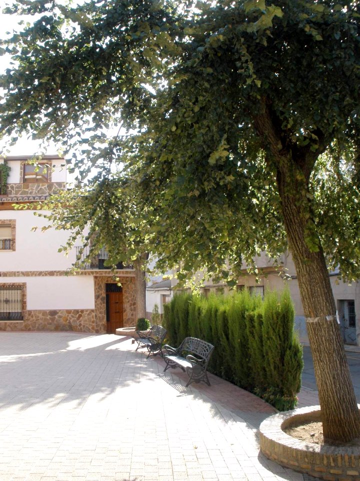Argamasilla de Calatrava 13