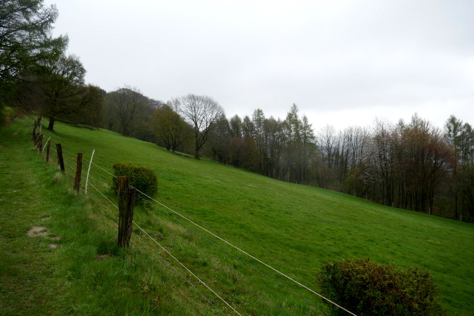 Altenbeken - NSG Sommerberg-Ortwald - 03