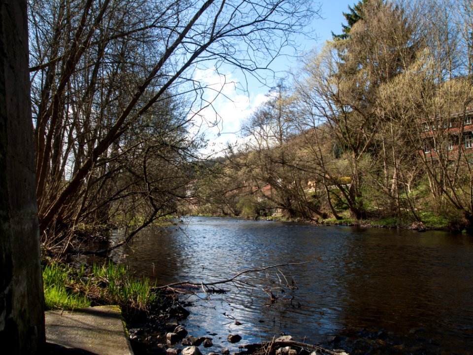 Altenbrak Bode 160416