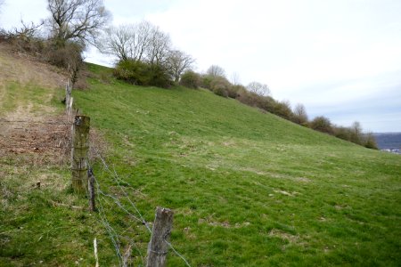 Altenbeken - NSG Hossenberg - 2