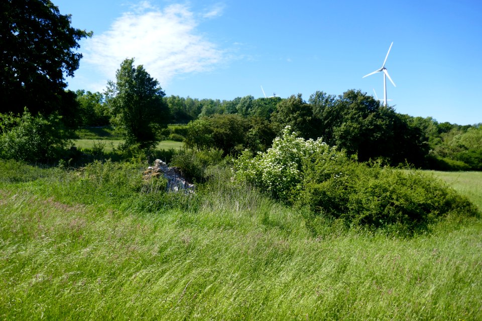 Altenbeken - Dunetal - 06