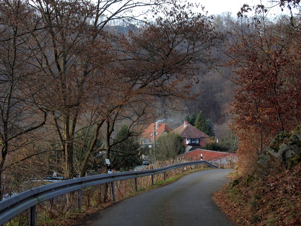Altenbrak Forstweg (18)