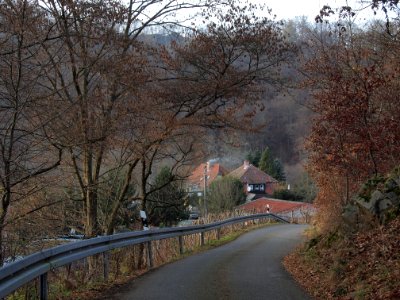 Altenbrak Forstweg (18)