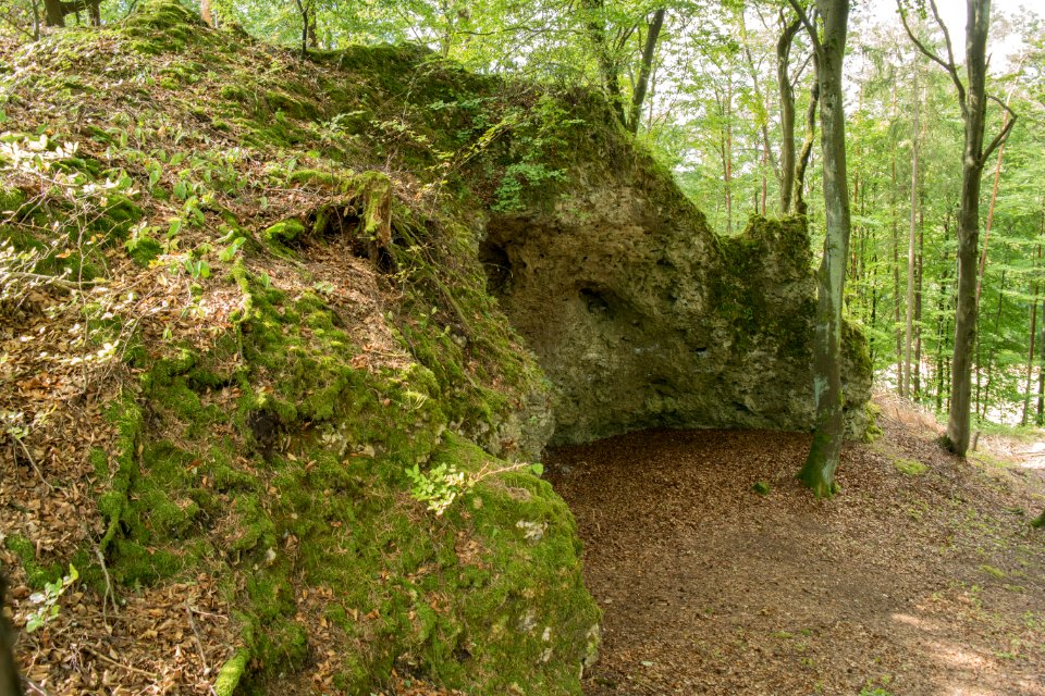 Alter Keller (D 241) 16