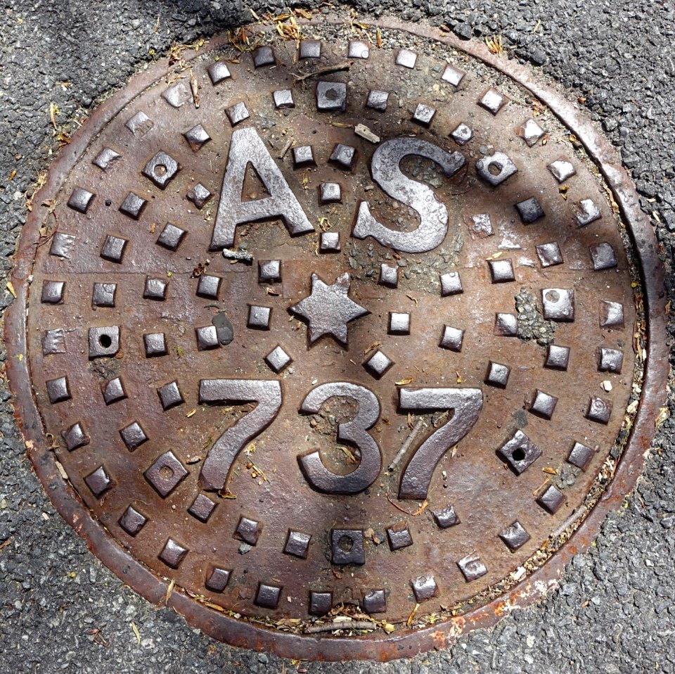 AS 737 - Arlington, MA - DSC00899