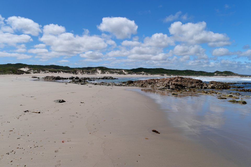 Arthur-Pieman Conservation Area, Tasmania 15
