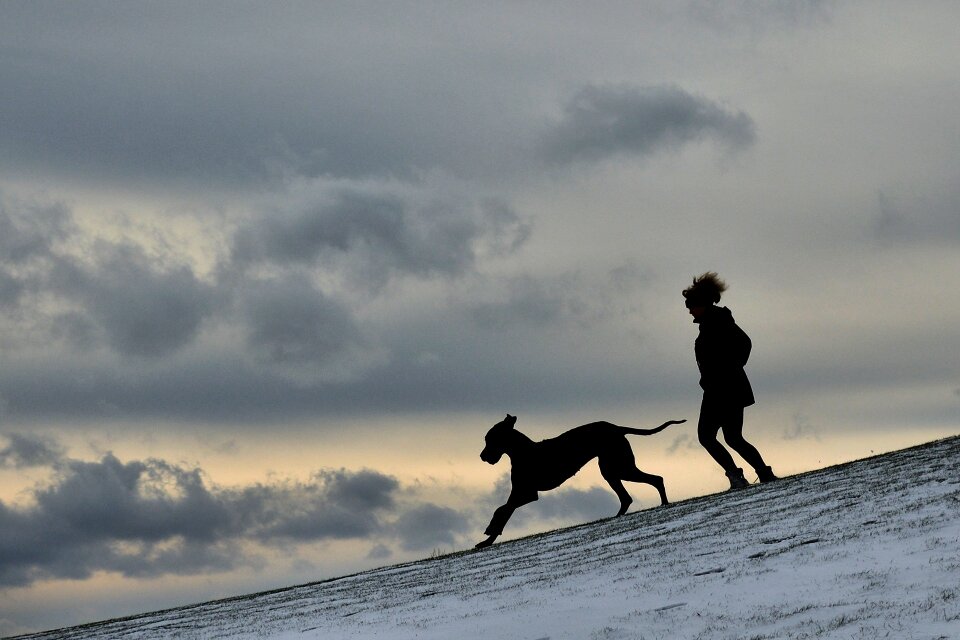Silhouette man and dog great dane