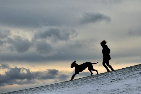 Silhouette man and dog great dane photo