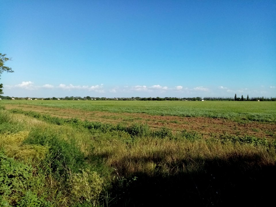 ArbuzovoCr 2