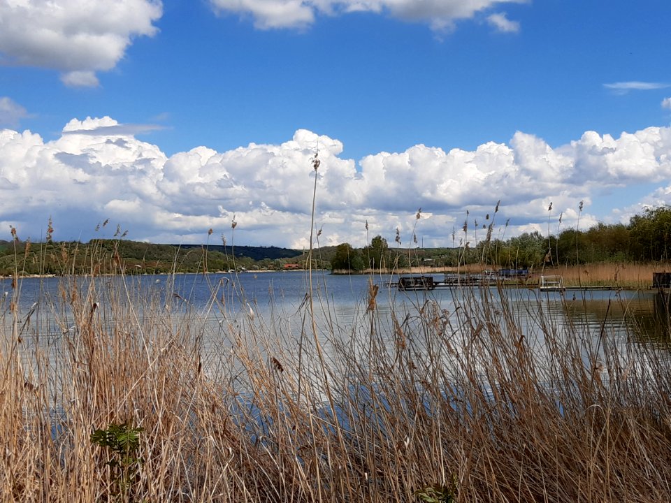 Aseleben, Süßer See (3)