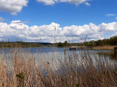 Aseleben, Süßer See (3)