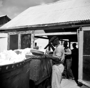Arbeiders aan het werk bij de fosfaatmijn van het bedrijf Curaçao bij de Tafelbe, Bestanddeelnr 252-7409