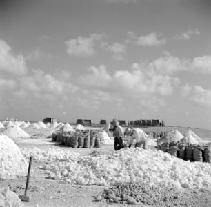 Arbeiders aan het werk in de zoutpannen van Bonaire, Bestanddeelnr 252-8400