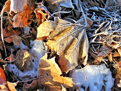 Ice colorful texture photo