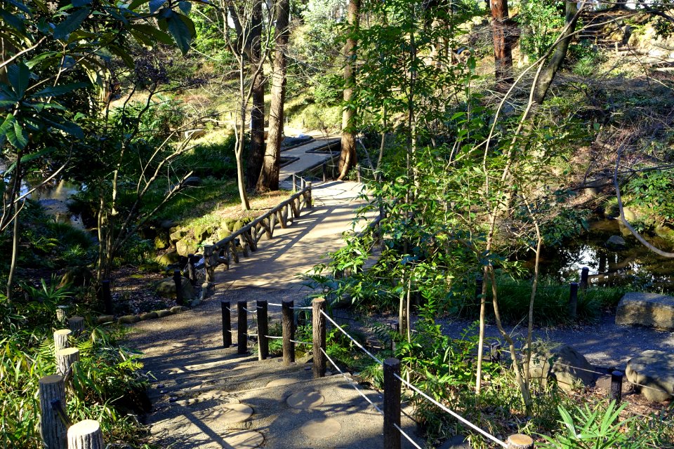 Arisugawa-no-miya Memorial Park - DSC06874