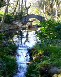 Arisugawa-no-miya Memorial Park - DSC06880 photo