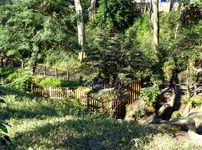 Arisugawa-no-miya Memorial Park - DSC06867