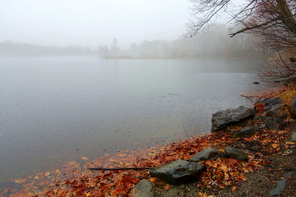 Arlington Reservoir - Arlington, MA - DSC03278