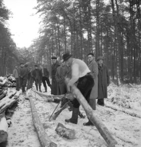 Arbeiders, bosbewerking, sneeuw, gereedschappen, Bestanddeelnr 251-7475