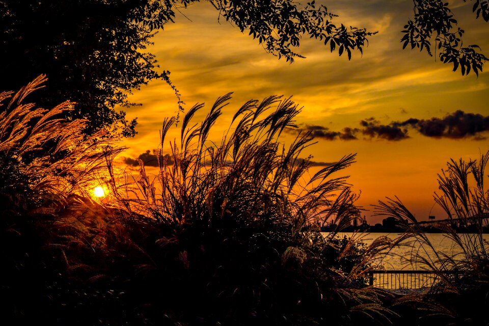 Summer sun sky